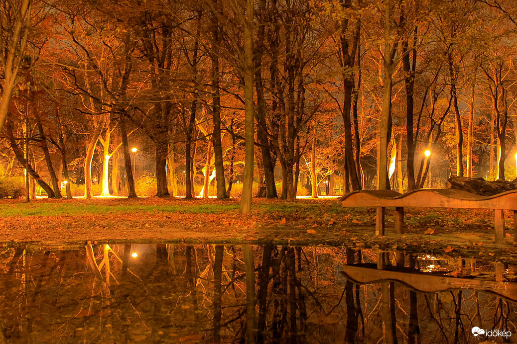 Meleg fényű este a parkban