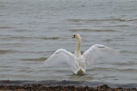 Tárd ki a karod, és engedd, hogy a világ megöleljen.