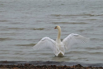 Tárd ki a karod, és engedd, hogy a világ megöleljen.