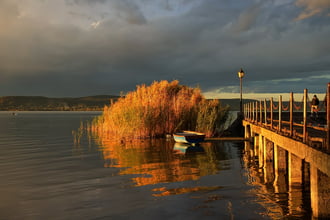 Aranyban pompázó