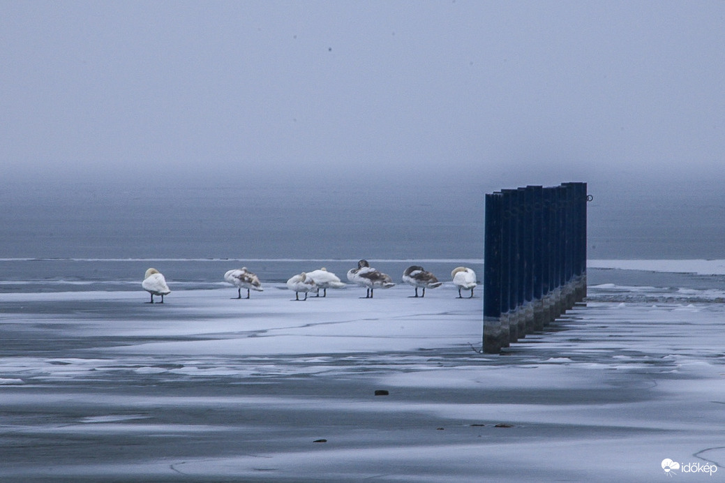 Átmeneti partraszállás 