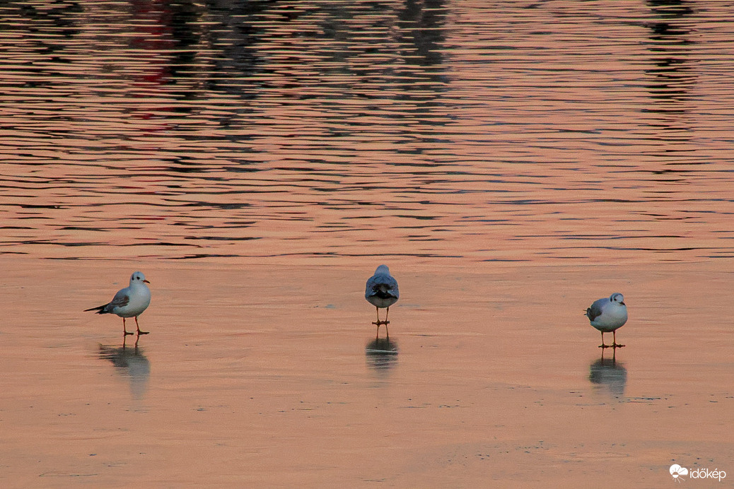 Őket már elbírja a jég