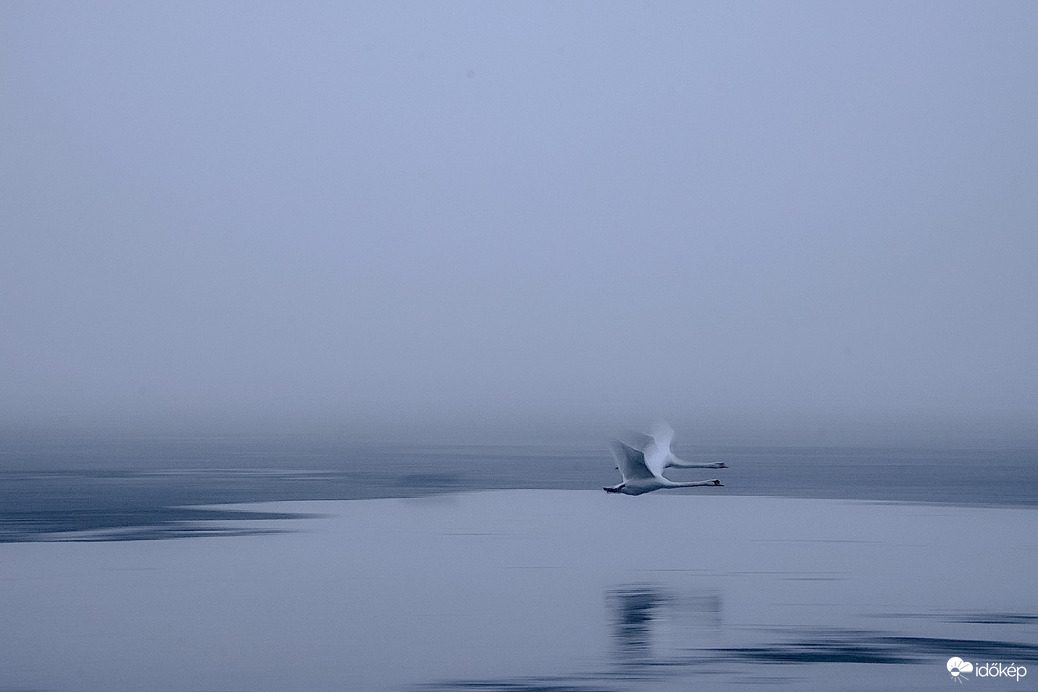 Korlátozott látótávolság