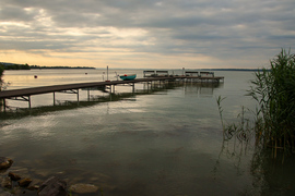 Borongós