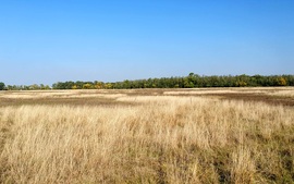 magcsilla fotója