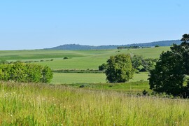magerlaszlo fotója