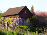 lila akácos ház