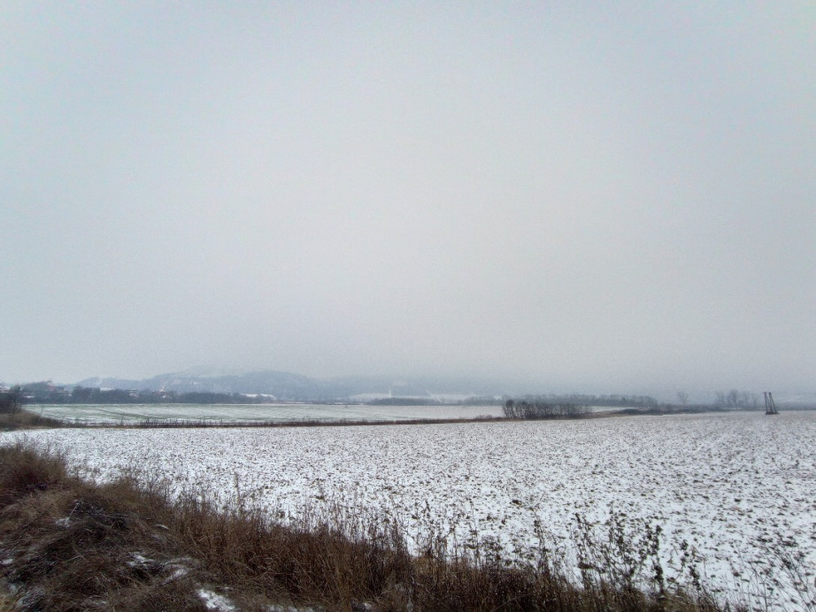 Bodrogkisfalud