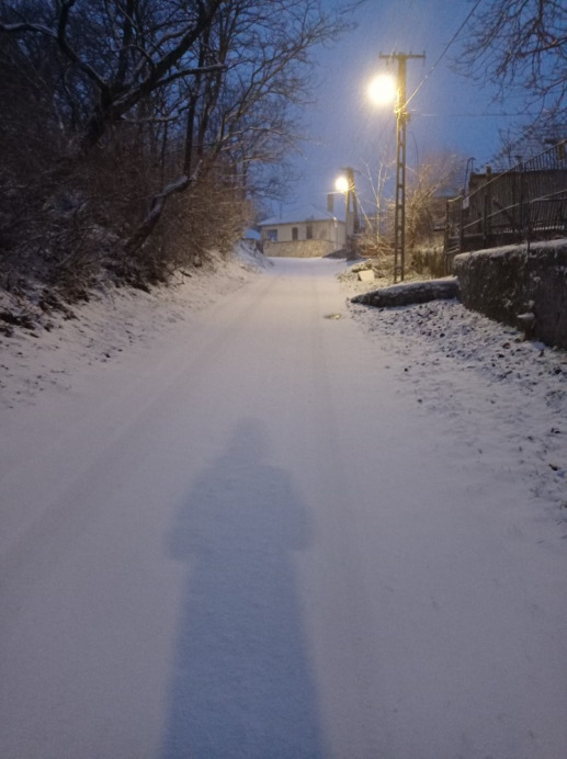 Bodrogkisfalud