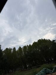 Csemő