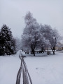 Kalocsa