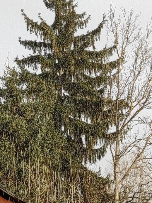 Szentgotthárd