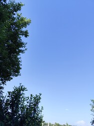 Nyírkarász
