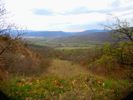 Ipolydamásd