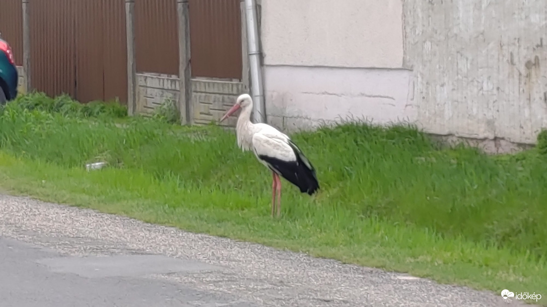 Balmazújváros