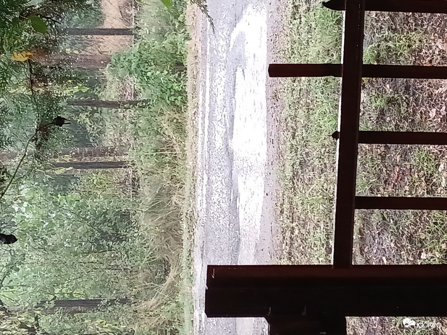 Sarkad