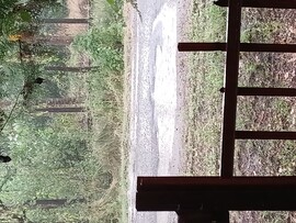 Sarkad