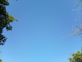 Ceglédbercel