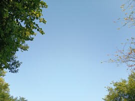 Ceglédbercel