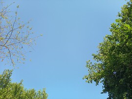 Ceglédbercel