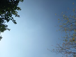 Ceglédbercel