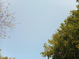Ceglédbercel
