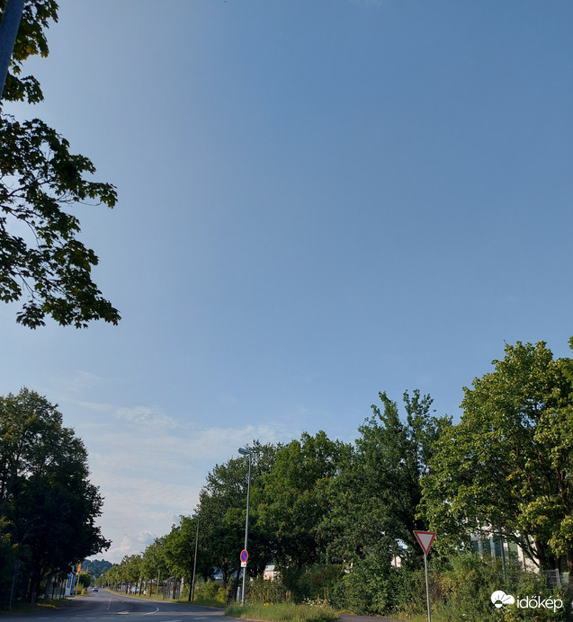 Wombach