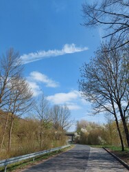 Langenprozelten