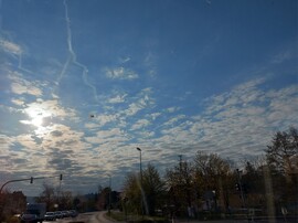 Lohr am Main