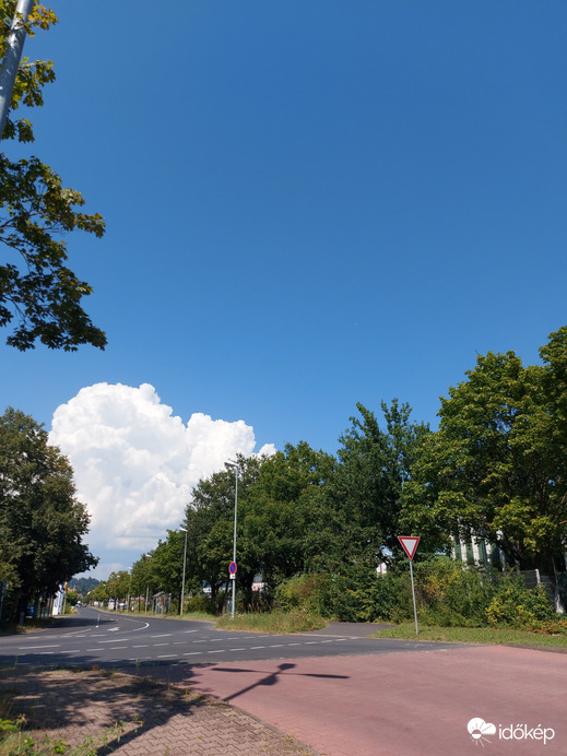 Wombach