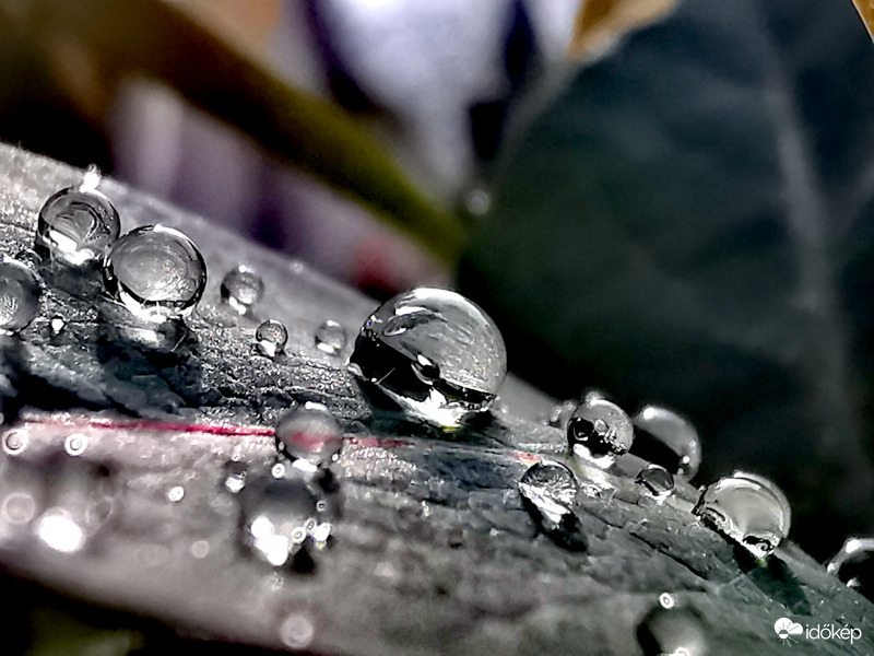 Eső után...