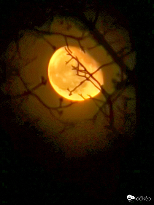 Éjszakai titokzatos...