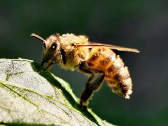 Egy kis napozás is belefér a munkába