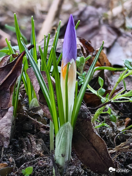 Már van valami tavaszias a levegőben :) 