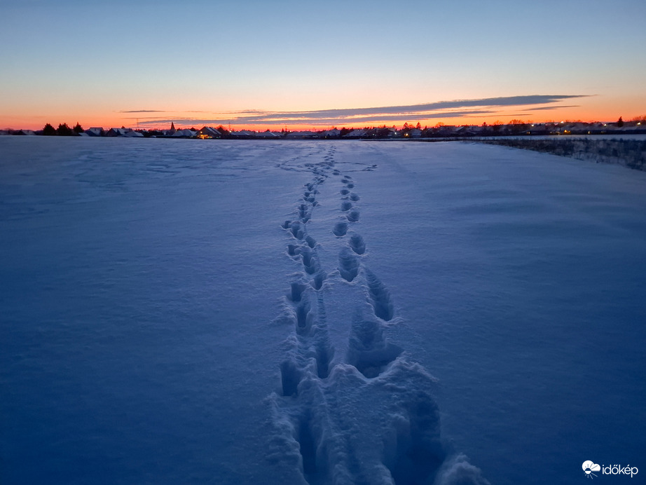 Hazafelé a csendben 