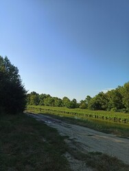 Balatonújlak