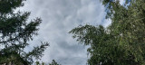 Pusztavacs