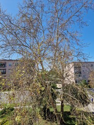 Tatabánya