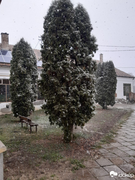 Csávoly