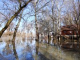A Tisza áradása