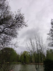 Szarvas