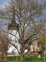 Fehérgyarmat