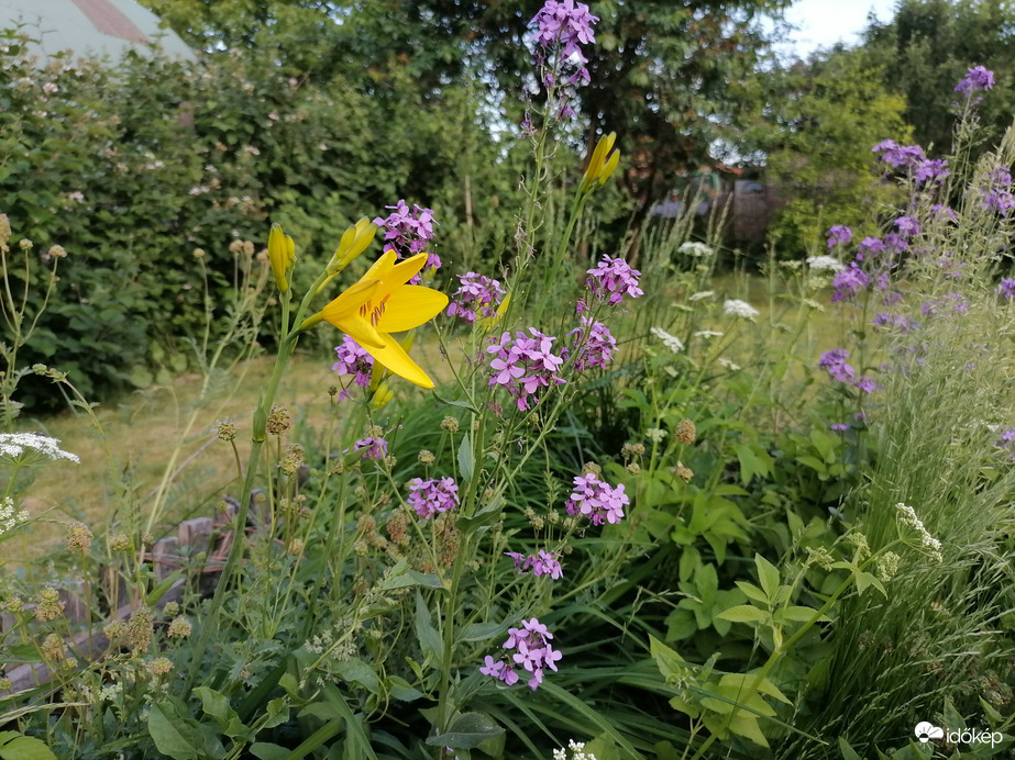 Virágsziget a kertben 