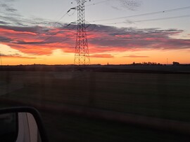 Gyöngyöshalász