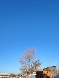 Solymár