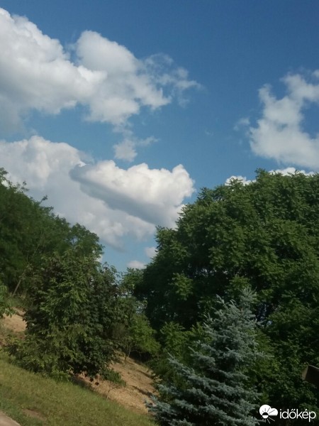 Kiskunhalas