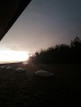 Balatonaliga