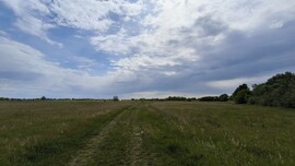 Mórahalom