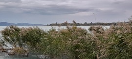 Késő őszi Balaton