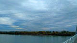 Undulatus asperatus